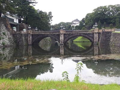 20190827_125547.jpg