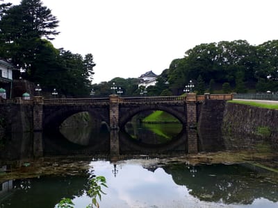 20190828_074057.jpg