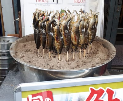 20190828_074348.jpg