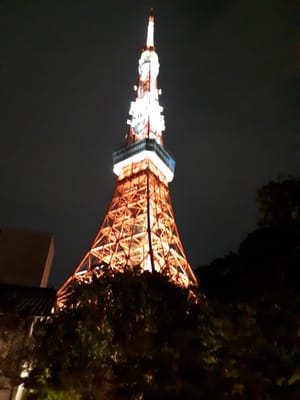 20190828_222355.jpg