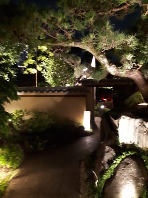 20190828_222401.jpg
