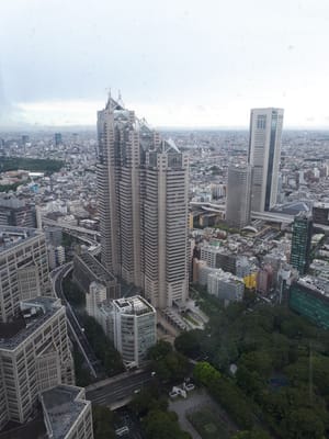 20190830_113551.jpg