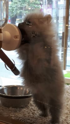 20190830_145721.mp4