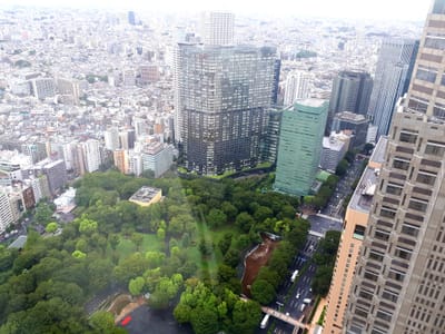 20190901_195315.jpg