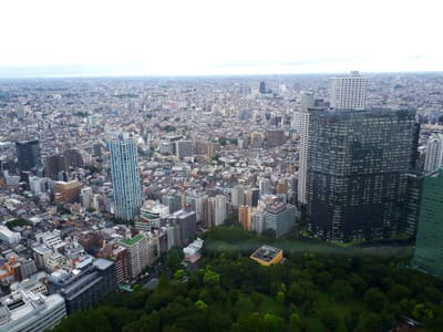 20190901_195341.jpg