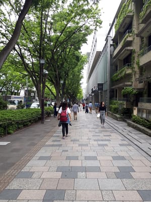 20190509_104957.jpg