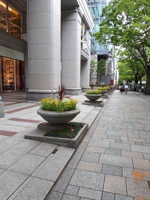 20190509_110031.jpg