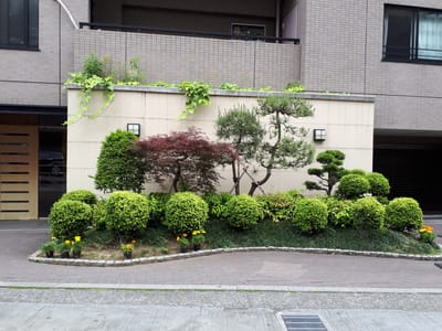 20190509_112523.jpg