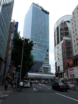 20190509_113934.jpg