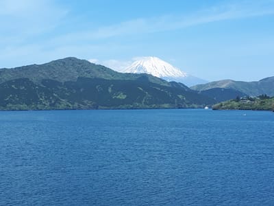 20190510_100900.jpg