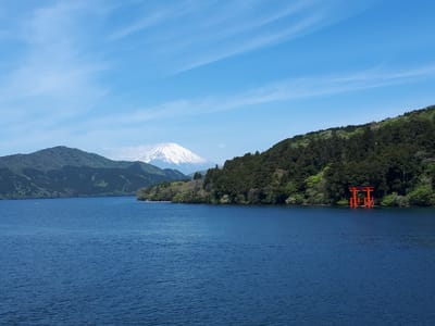 20190510_101009.jpg