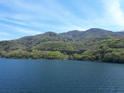20190510_102953.jpg