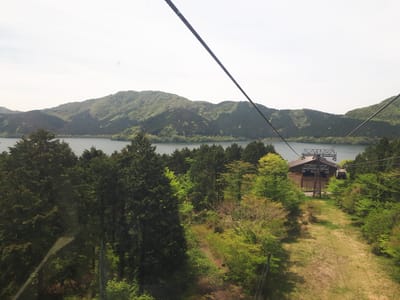 20190510_104613.jpg