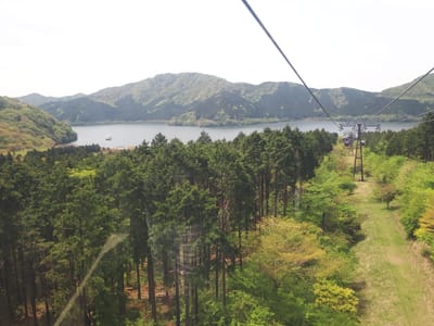 20190510_104815.jpg