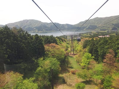 20190510_105138.jpg