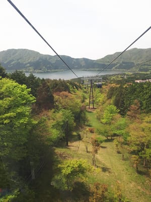 20190510_105142.jpg