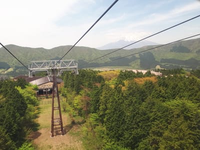 20190510_105533.jpg