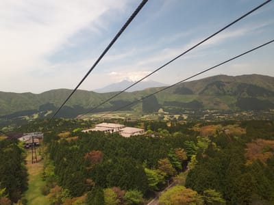 20190510_105625.jpg
