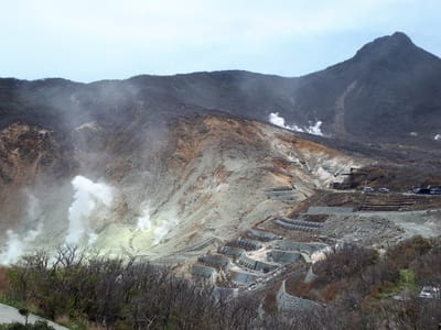 20190510_110353.jpg
