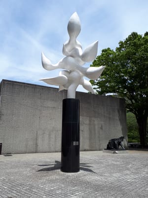 20190510_120333.jpg
