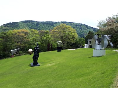 20190510_120953.jpg