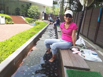 20190510_124249.jpg