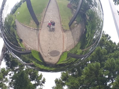 20190510_131907.jpg