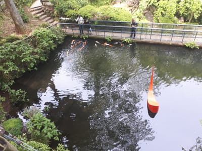 20190510_132037.jpg