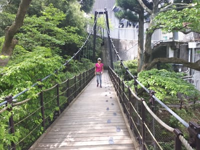 20190510_132111.jpg