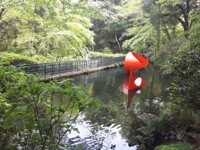 20190510_132242.jpg