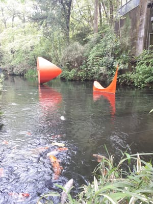 20190510_132308.jpg