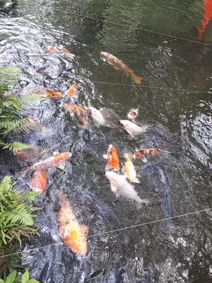 20190510_132320.jpg