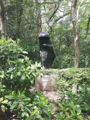20190510_132551.jpg
