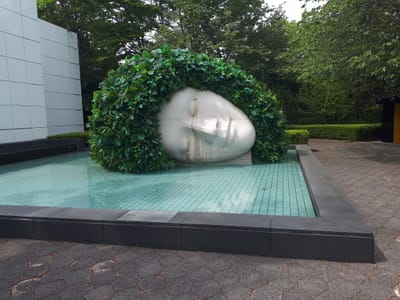 20190510_133242.jpg