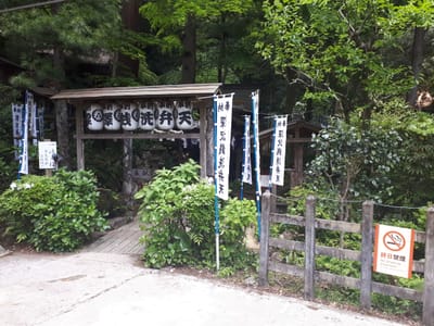 20190510_142812.jpg
