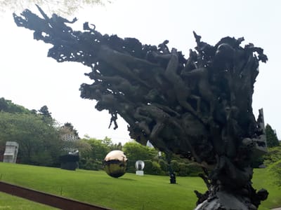 20190511_004103.jpg