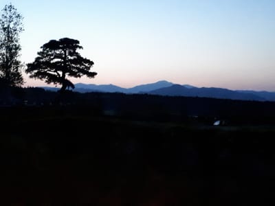 20190512_041557.jpg