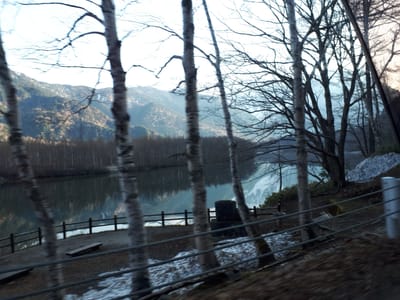 20190512_060618.jpg