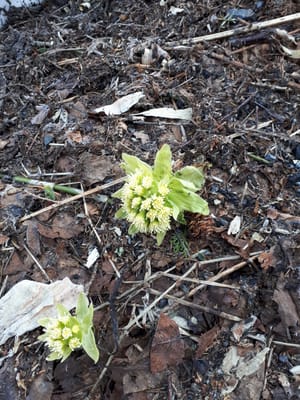 20190512_060721.jpg