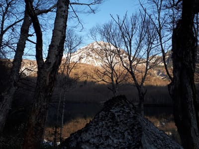 20190512_060735.jpg