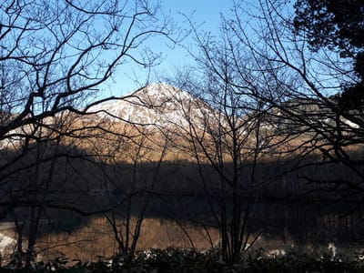 20190512_061155.jpg