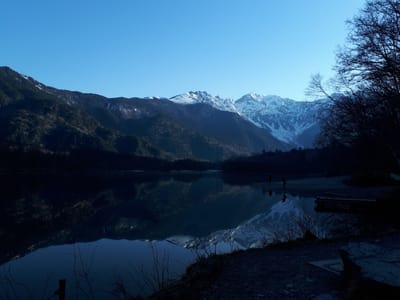 20190512_061231.jpg