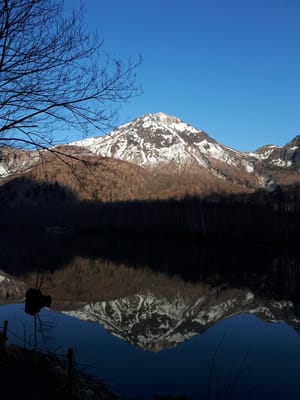 20190512_061256.jpg