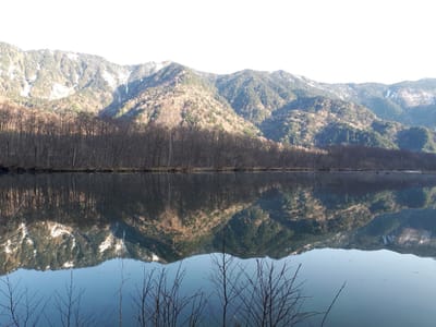 20190512_061313.jpg