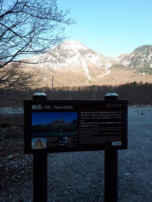 20190512_062415.jpg