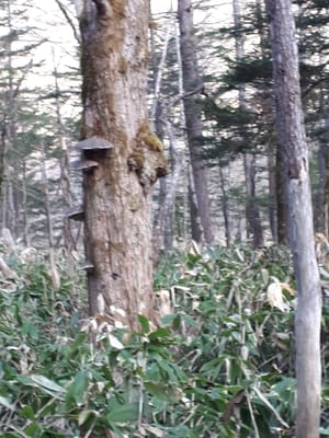 20190512_063223.jpg