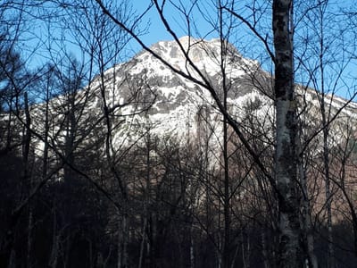 20190512_063353.jpg