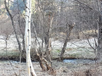 20190512_063406.jpg