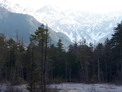 20190512_063844.jpg