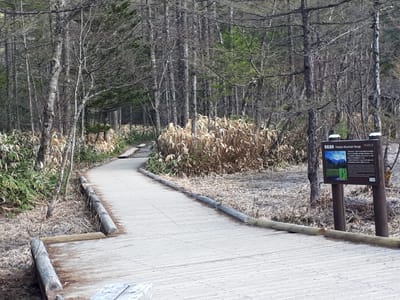 20190512_063919.jpg